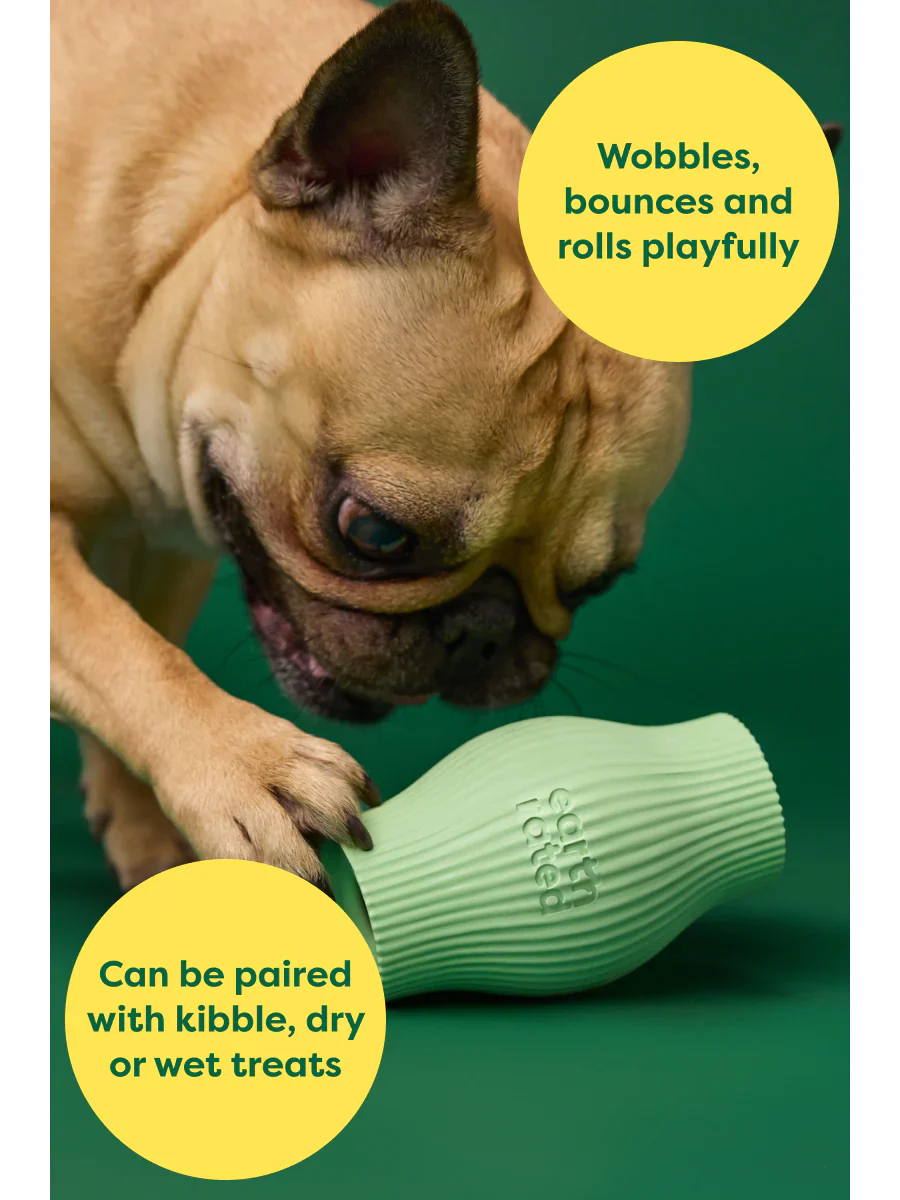 Earth Rated - Treat Toy (Dog Toy)